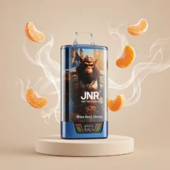 JNR RageGorilla 55000 zaciągnięć podwójna grzałka mesh vape wholesale Poland